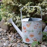 vintage metal shower kettles watering can plant with easy pour watering tools for fast and easy plant watering farmhouse style
