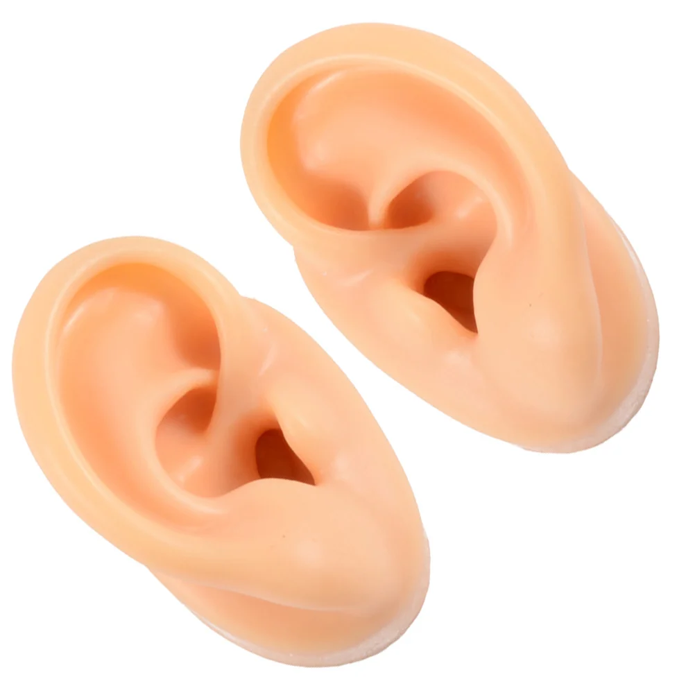 

Ear Model Display Models Fake Body Simulation Silicone Props Flexible Kit Earphones Parts Soft Teaching Practice Samples Part