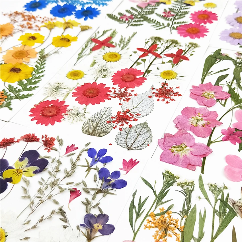 

1 Bag Real Dried Flower Dry Plants For Aromatherapy Candle Epoxy Resin Pendant Necklace Jewelry Making Craft DIY Accessories