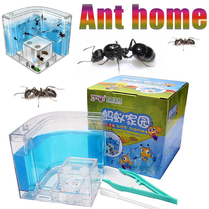 

Ant House Insect Observation Box Castle Transparent Insect Breeding Box Ant Parenting Educational Model Environmental Toys