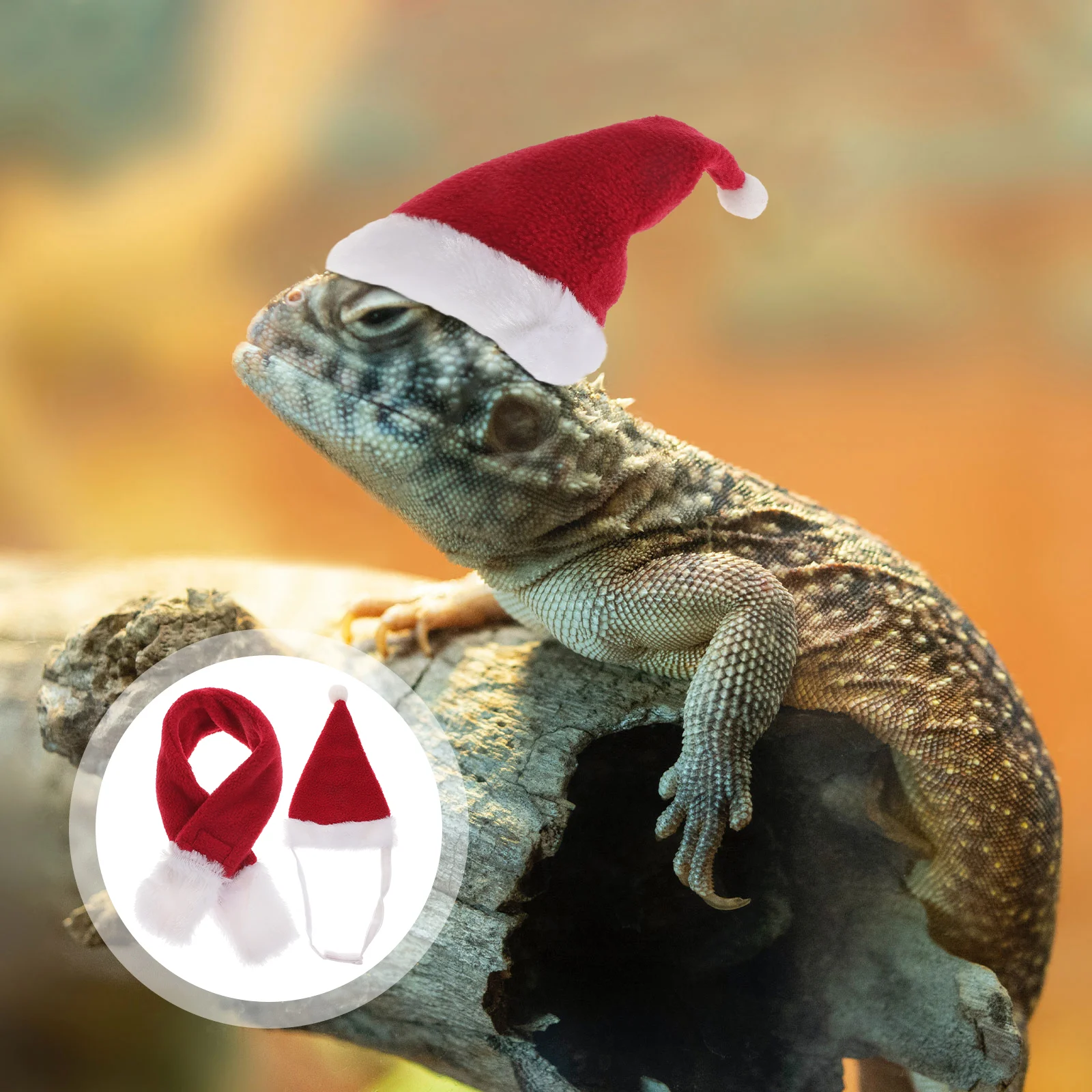 

Hat Christmas Lizard Bearded Santa Dragon Scarf Costume Animal Xmas Clothe Reptile Set Small Forhats Bottle