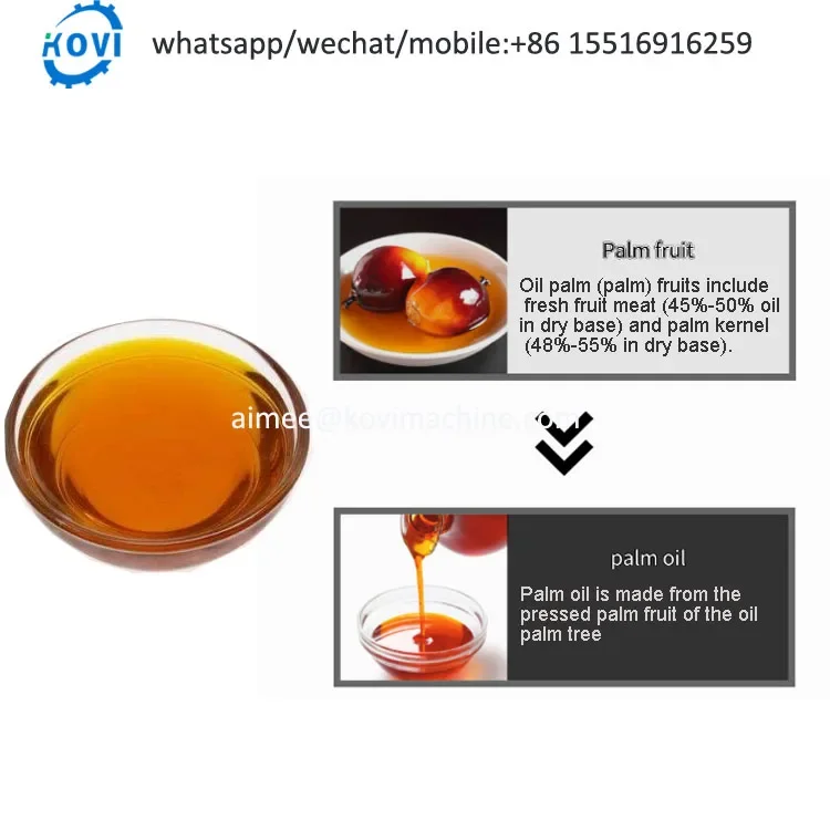 Машина для прессования Красного пальмового масла машины машина экстракции