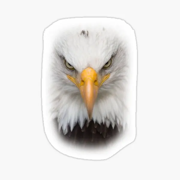 

Car Eagle Auto Sticker for Bonding Sticker 17CM e7