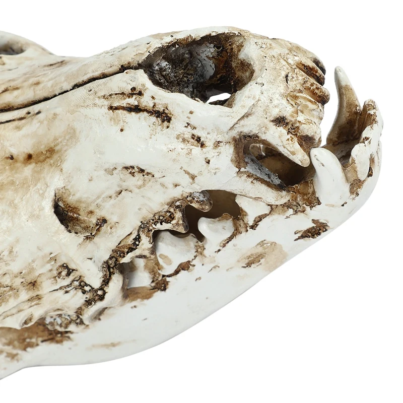 Креативная копия каучукового черепа Реплика учительской модели скелета