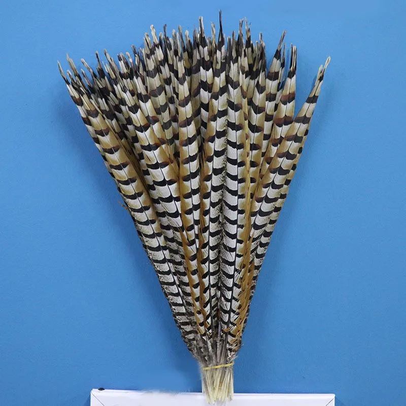 

The New 50pcs/lot Natural Pheasant Feathers for Craft 60-65cm/24-26inches Party Dancers Carnival Plumas
