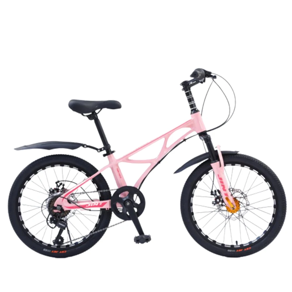 

20 Inches Bicycle Magnesium Alloy Frame Front And Rear Mechanical Dual Disc Brake Bike Shock Absorption