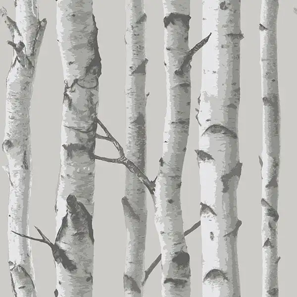 

Mountain Birch Grey Peel & Stick Wallpaper