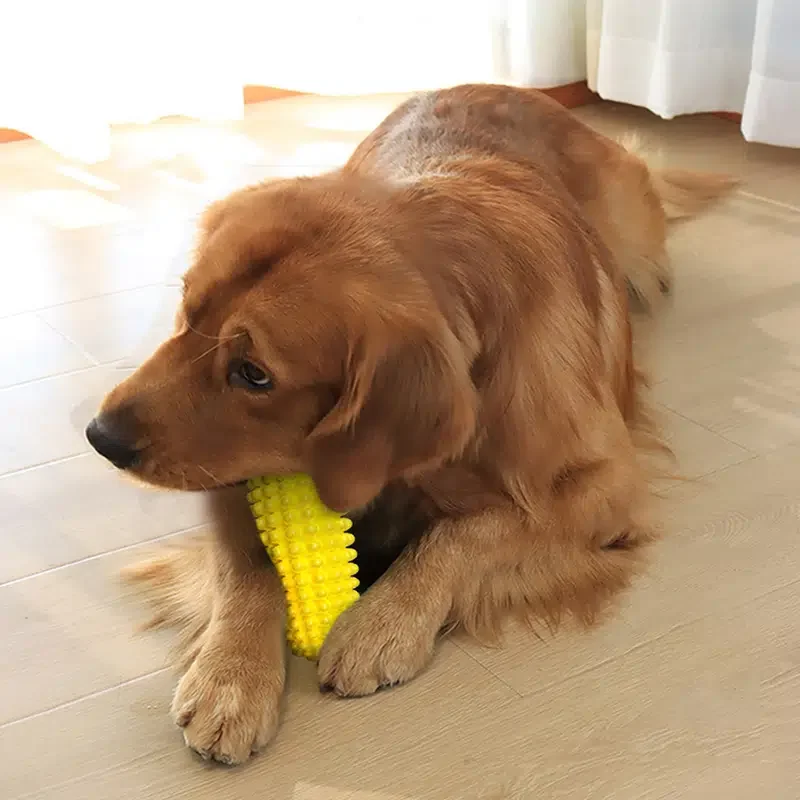 

Силиконовая жевательная игрушка с веревкой для забавного щенка