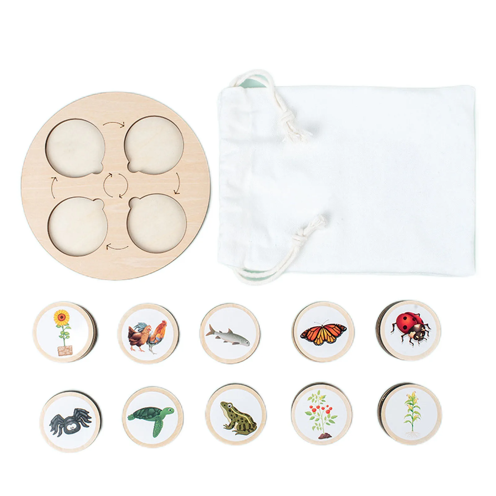

Montessori Life Cycle Tray Animal Figures Matching Game Educational Toy For 3 To 6 Years Old Preschool Children