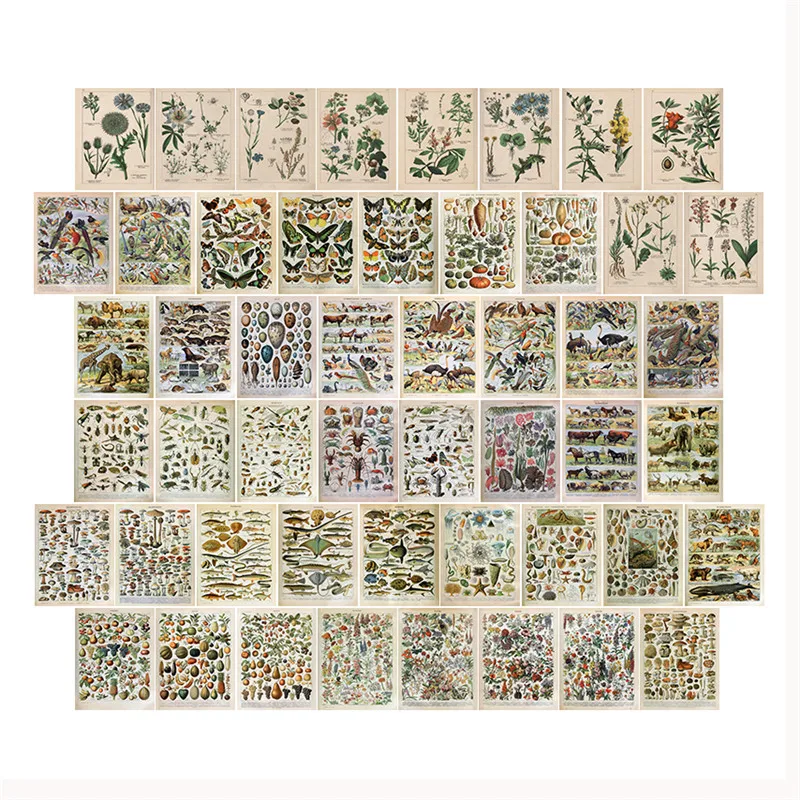 

50Pcs Retro Plant Flowers Picture for Wall Collage Flowers and Plants Insect Specimen Set Postcard Wall Paper for Room Decor
