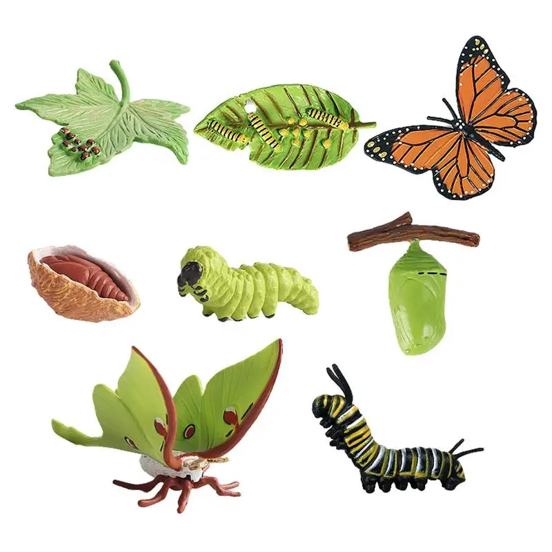 

Butterfly Growth Cycle Caterpillar To Butterfly Kit 8PCS Biological Model Of Life Cycle Of A Butterfly Farm Animal Growth Model