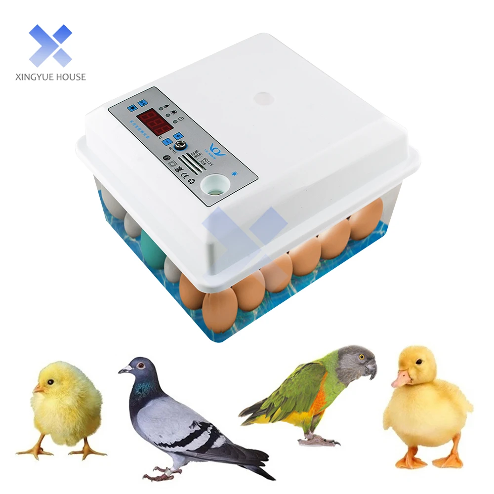 20 uova incubatrice domestica controllo automatico della temperatura incubatrice strumenti piccola plastica Bionic Water Bed Farm Bird Egg Incubator