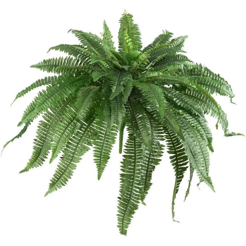 

Boston Fern Artificial Plant (Set of 2), Green