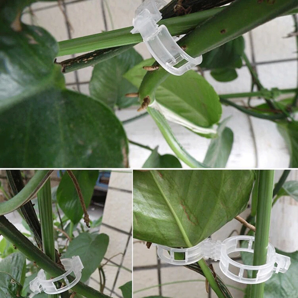 

Plants Grafting Clips For Vegetable Tomato 100 Pcs Plastic Tomato Clips