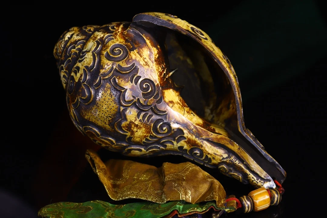 8-дюймовая коллекция тибетского храма старая натуральная раковина киноварь DAKINI