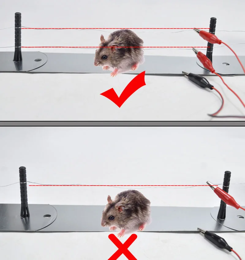 Акция ловушка для крыс бытовая полностью автоматическая электронная