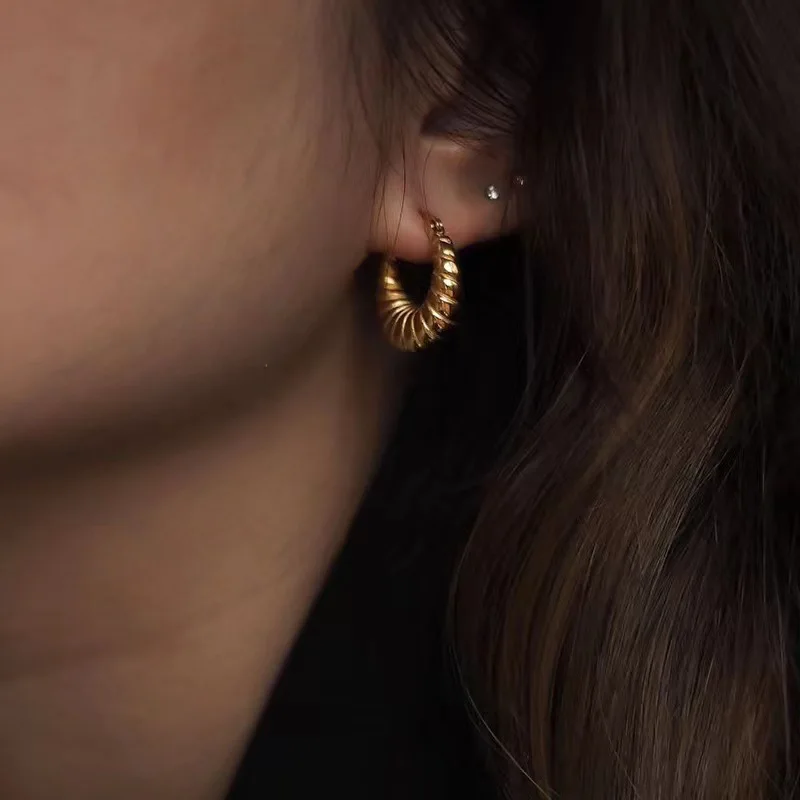 Stainless Steel PVD 18K Gold Plated Tarnish Waterproof Oval Twist Hoop Earrings For Woman Jewelry Wholesale Trendy