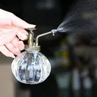 Винтажный садовый спринклер в форме тыквы, 200 мл