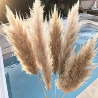 natural dryness wedding bouquet is a favorite wedding color within the natural dried pampas grass decor wedding flower