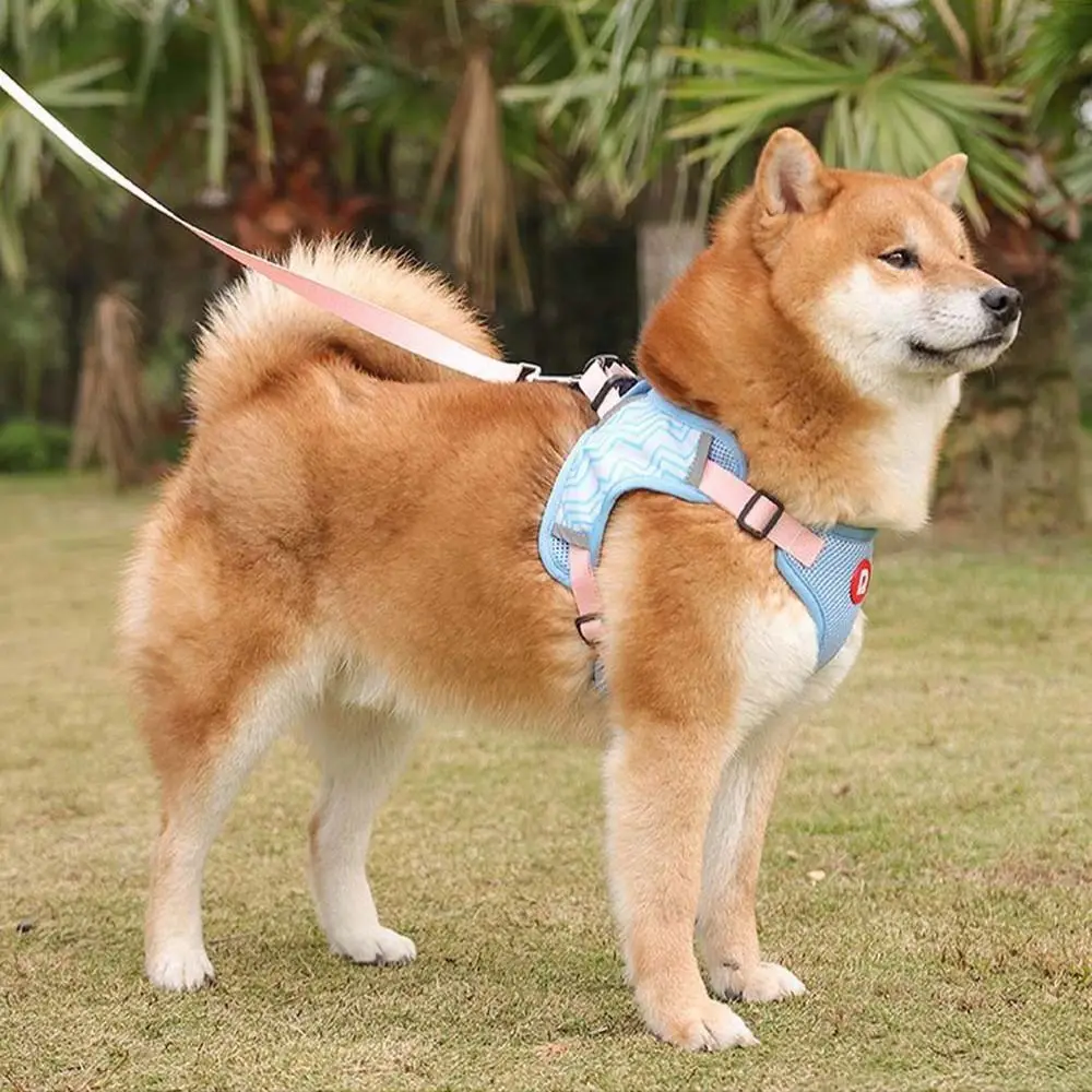 

Breathable Set Vest Reflective Puppy Kitten Traction Halter Dog Necklace Pet Harnesses Leash Pet Collar Pet Supplies