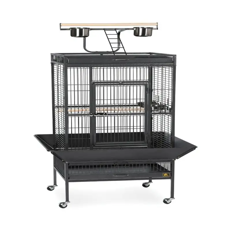 

Prevue Select Wrought Iron Parrot Bird Cage 24x20x60", Black