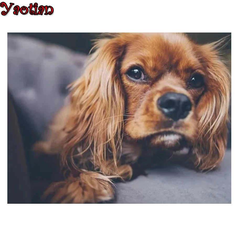 

5D алмазная живопись, рукоделие, полностью Алмазная вышивка своими руками, наборы для вышивки крестиком кавалеров, король, Чарльз, спаниель, ...