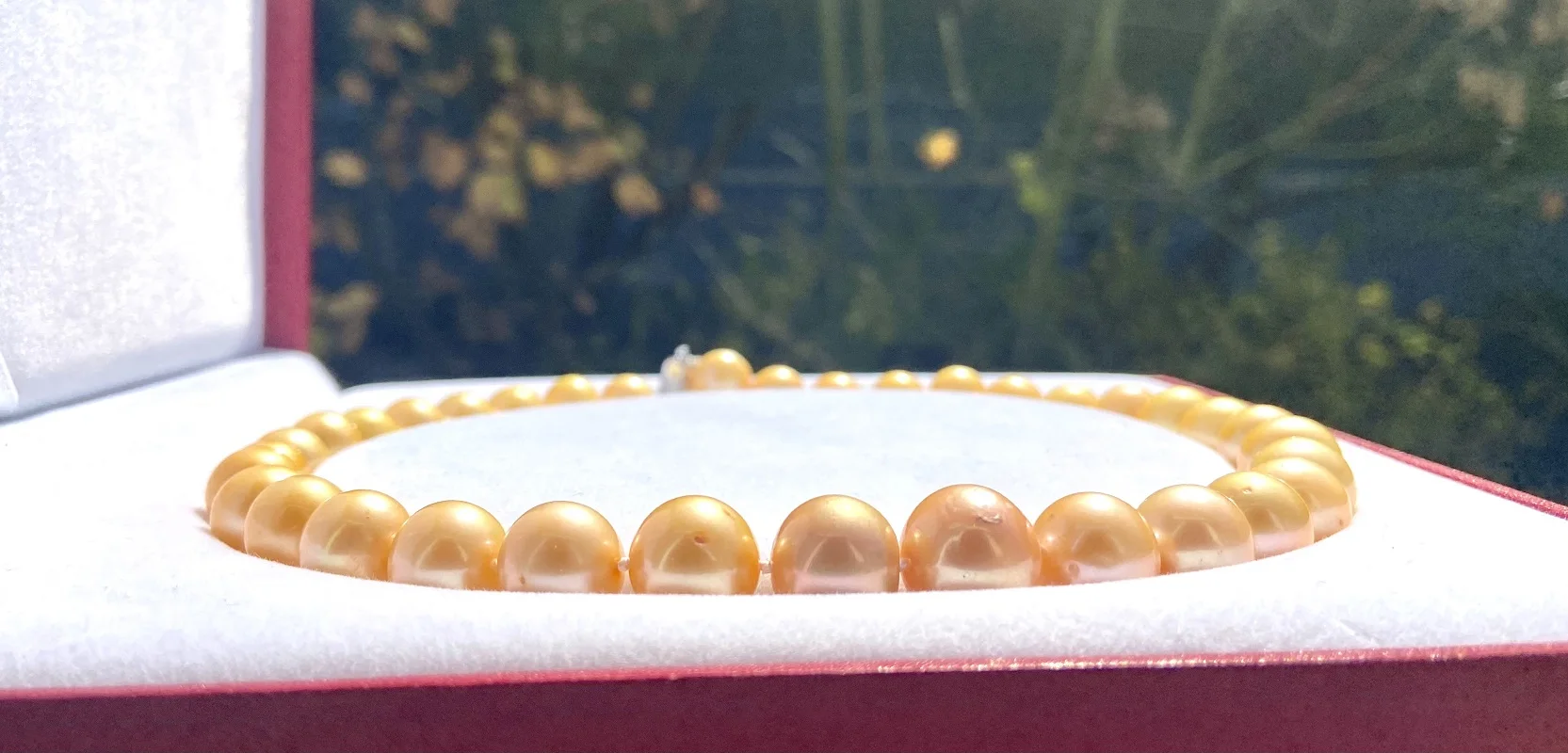 

Женское Ожерелье из натурального жемчуга 12-14 мм