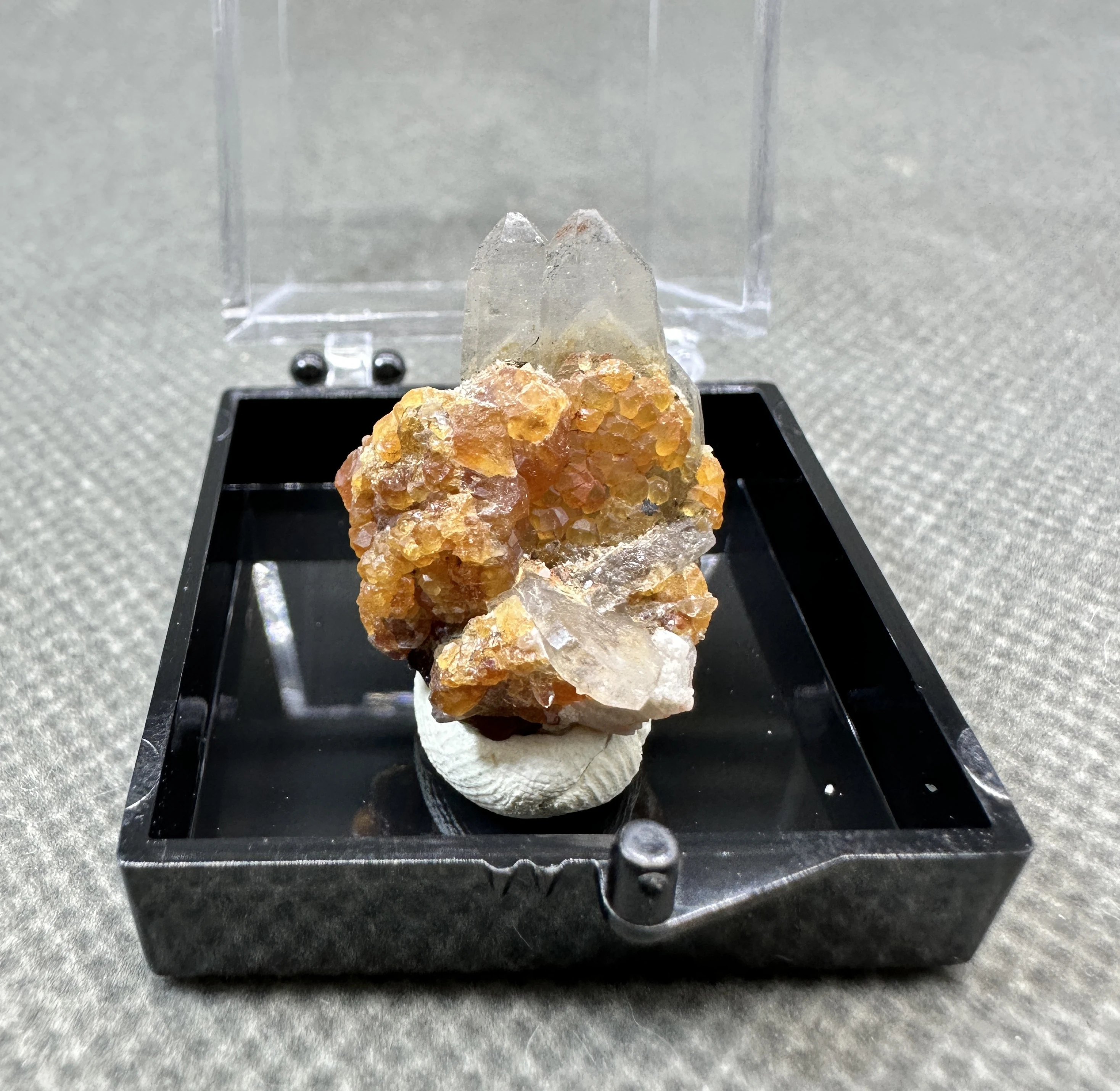 

Набор для выращивания граната QIANCHUAN