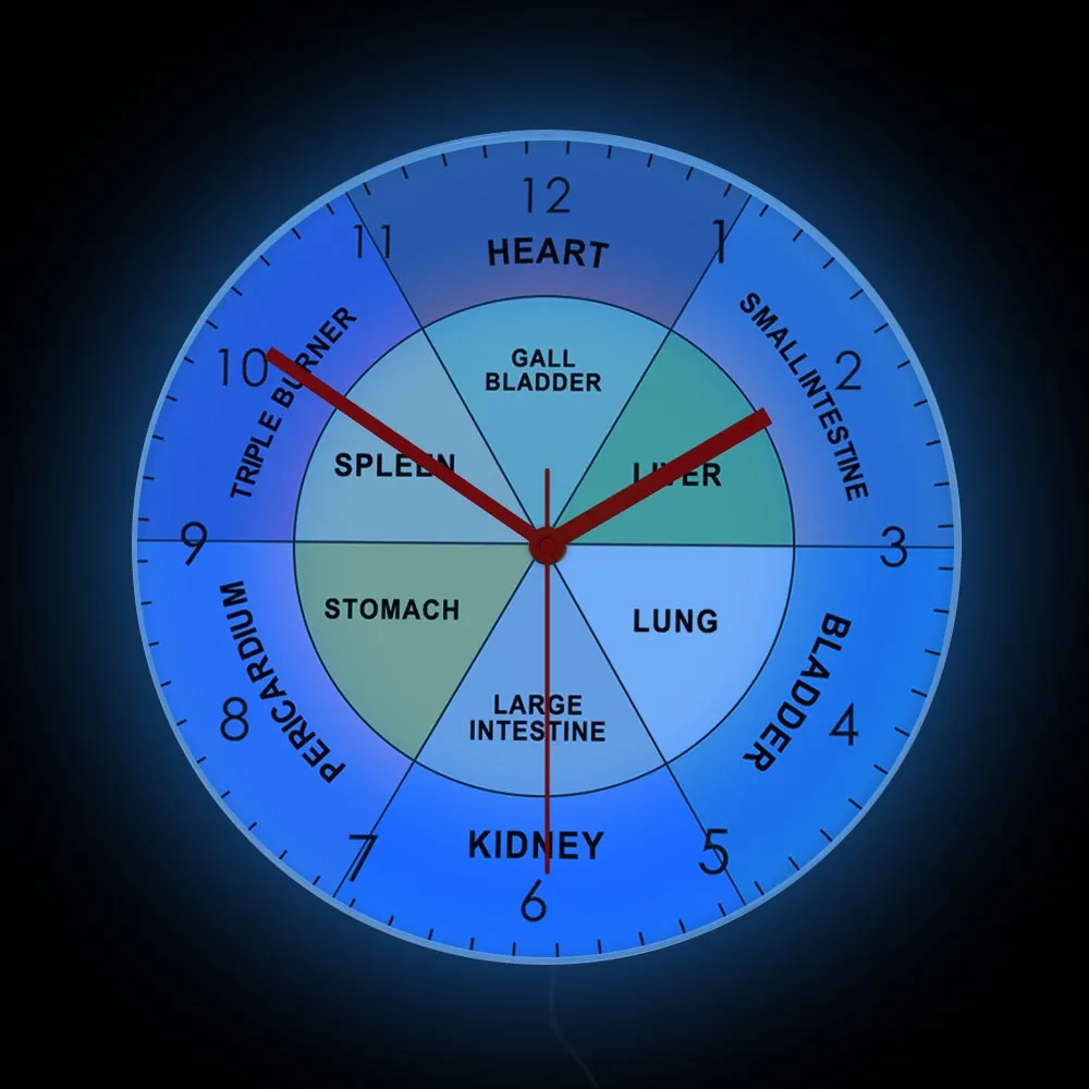 

Organ Chart TCM Body Luminous Wall Clock For Physical Therapy Room Chinese Traditional Medicine Healing Cycles Night Light Clock