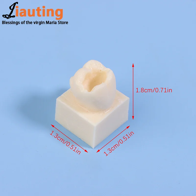 8 шт./компл. стоматологическая задняя студенческая тренировочная тестовая модель