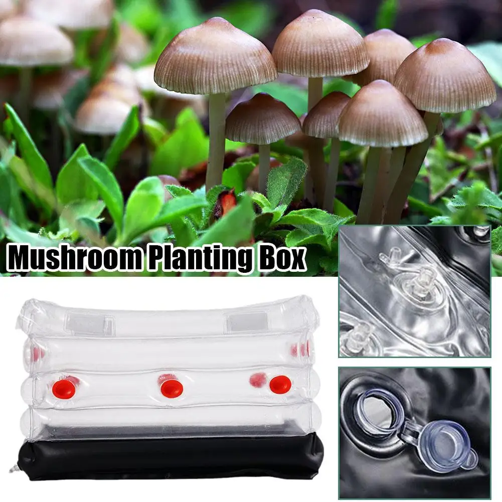 Big Size Mushroom Monotub Kit-Inflatable Mushroom Grow Bag with Plugs Filters for Fresh Air Exchange Garden Mushroom Grow k Z7K8