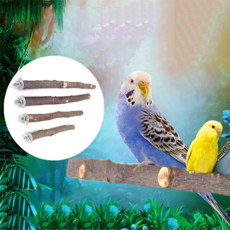 Natural Wood Pet Parrot Raw Wood Fork Tree Branch Stand Rack Squirrel Bird Hamster Branch Perches Chew Bite Toys Stick images - 6