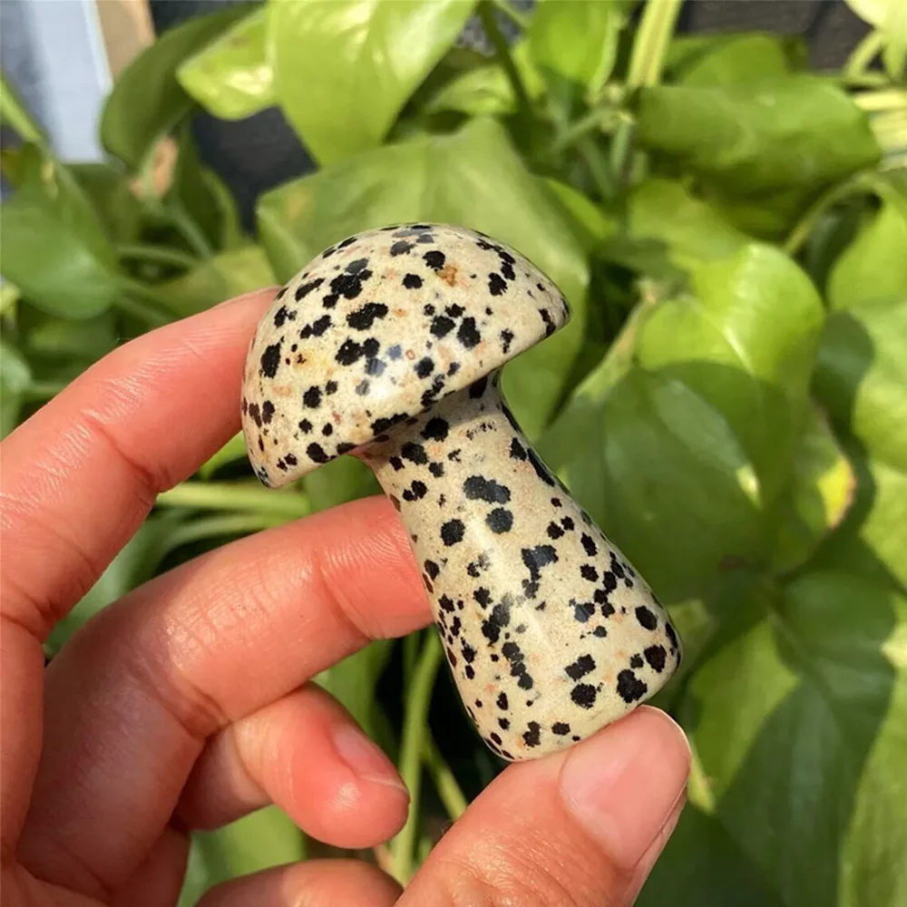 50-60 г натуральный кристалл кварца ручной работы грибной чакра подарок для