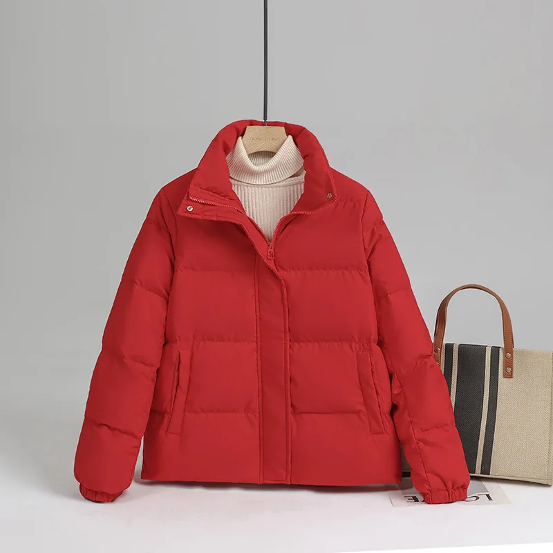 Standing Collar Short Jacket Woman Winter 2023 Oversize Thin Down Demi-season Parka New In Outerwear Spring Padded