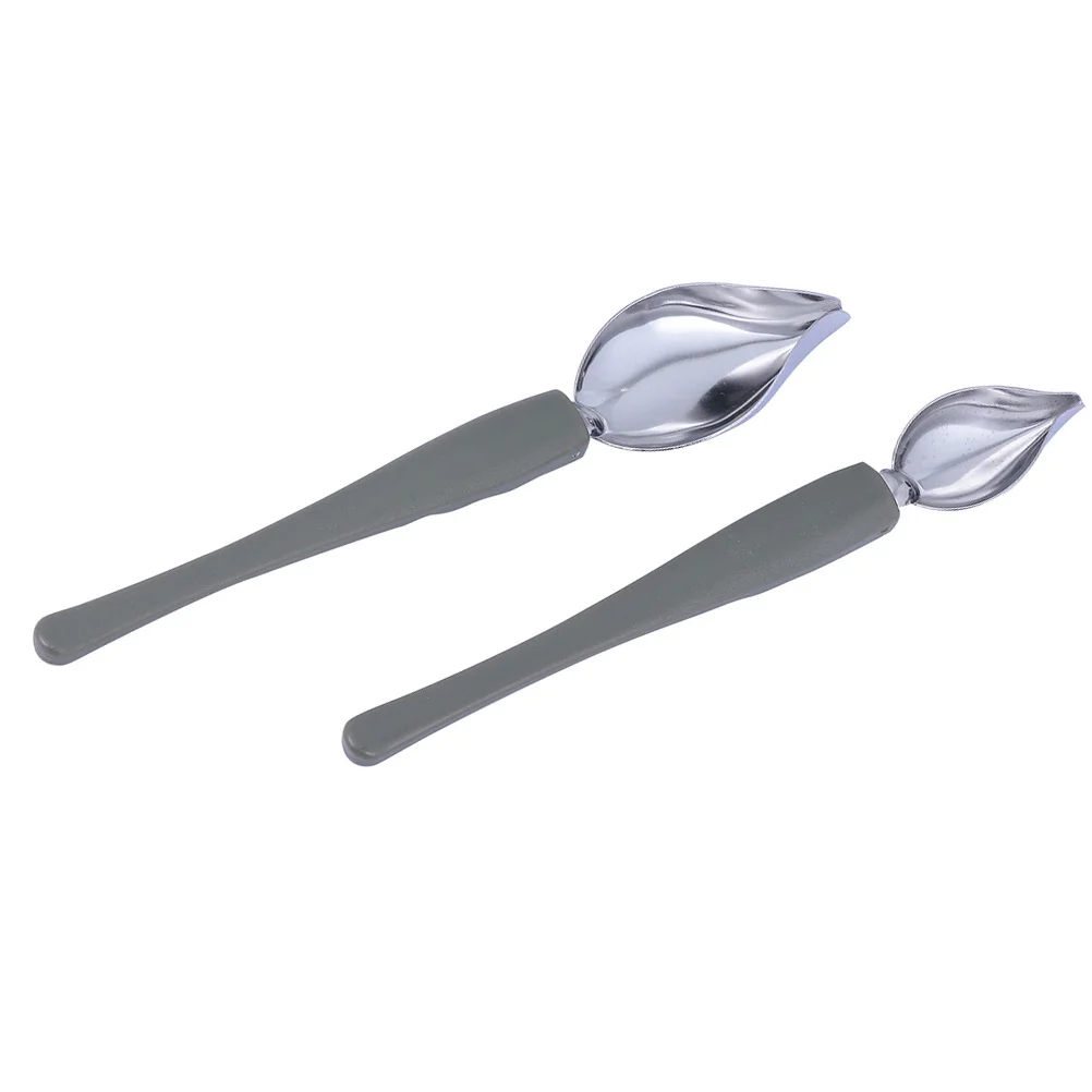 

2 Pcs Plate Dish Sauce Painting Pencil Sauce Spoon Practical Culinary Spoon