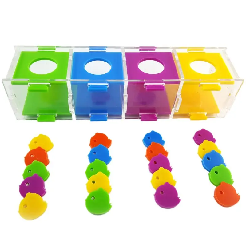 

Colorful Bird Parrot Intelligence Toy Coin Box Macaw Cockatiel Training Chew Toy