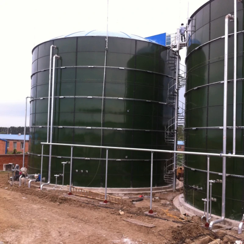 

Teenwin 100-1000m3 Organic anaerobic digestion biogas power plant for bio gas digester