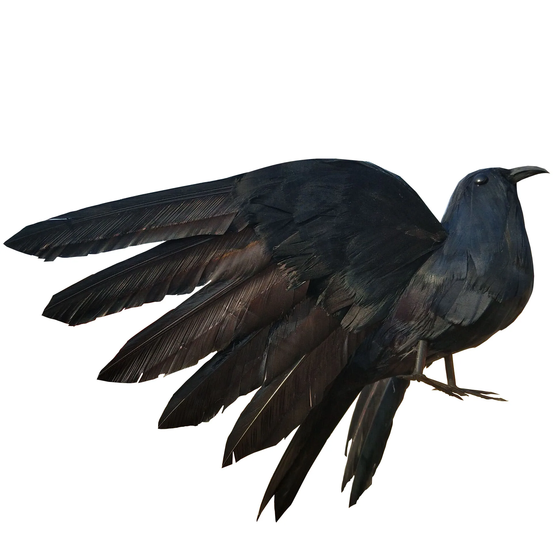 

new real life crow model foam&furs wings black crow Handicraft Garden Decoration gift about 22x40cm xf2846