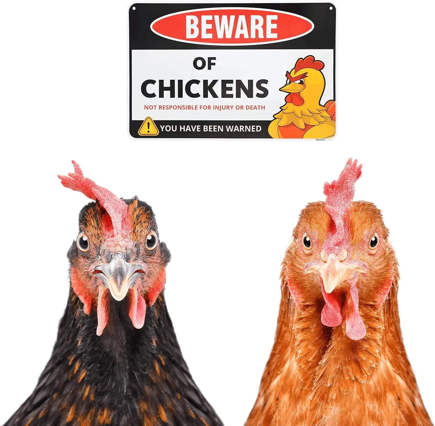 Знаки Венециорского курятника — 8 x 12 дюймов подарки для влюбленных забавный