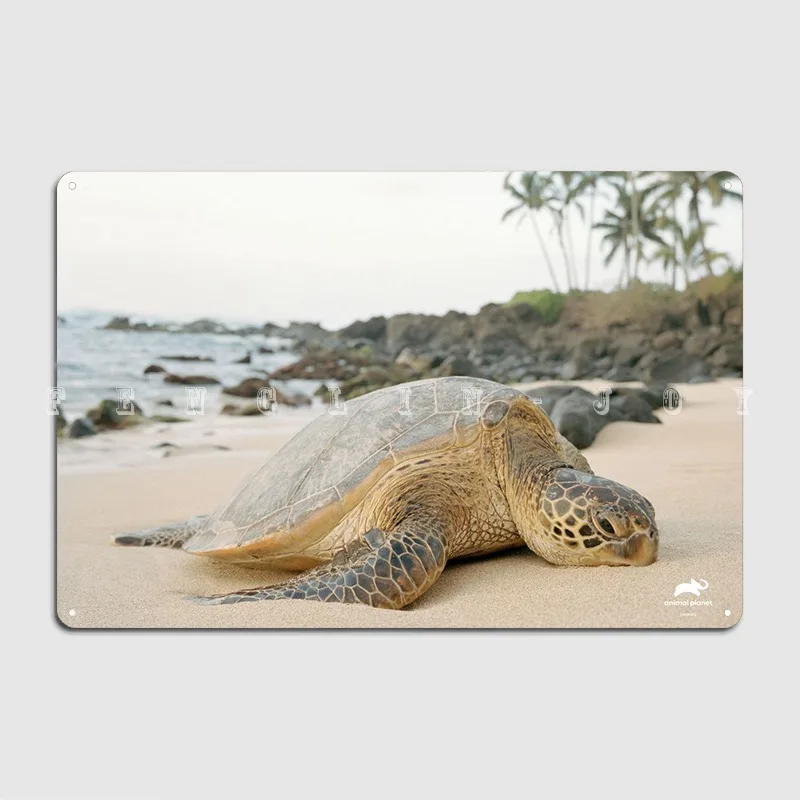 

Turtle Metal Sign Wall Cave Home Personalized Wall Decor Tin Sign Poster