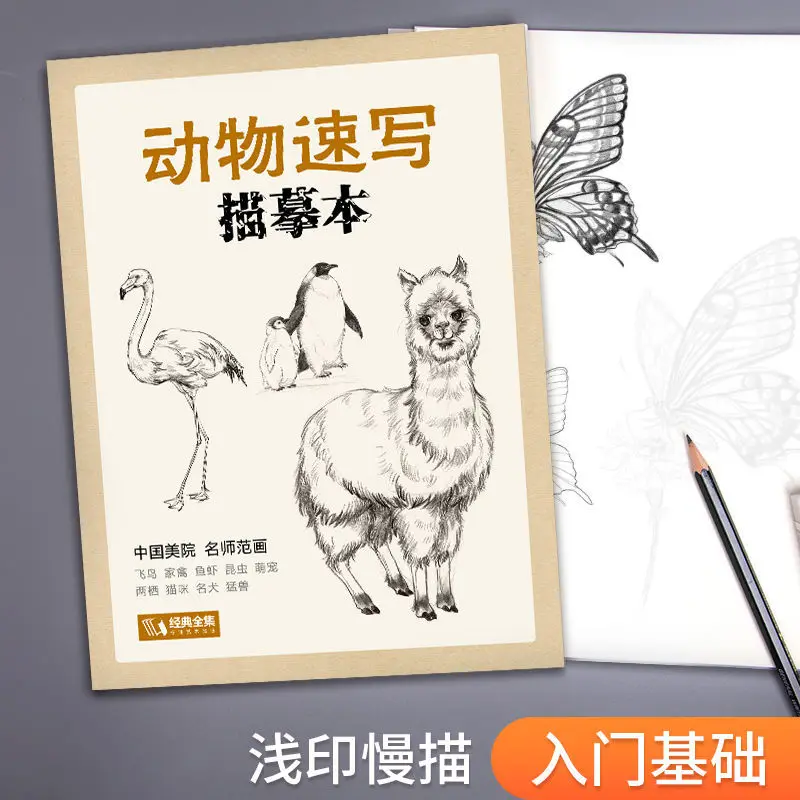Животный эскиз книга для копирования на кальку нулевой основе живопись