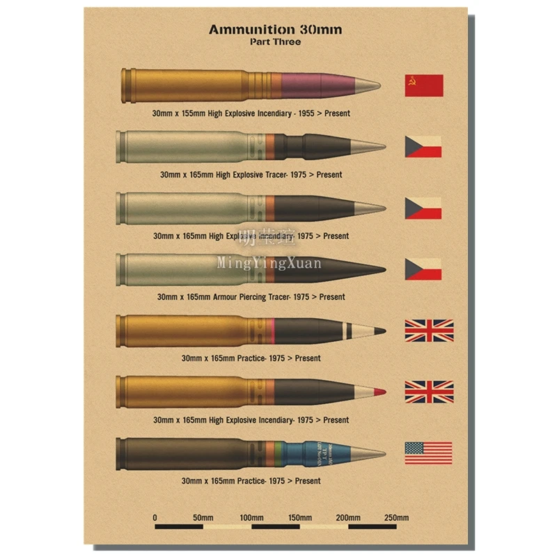 

Винтажные оружие, пистолеты, боеприпасы, настенные панно, все пули, живопись, настенные художественные брони, постеры и принты для гостиной, домашний декор