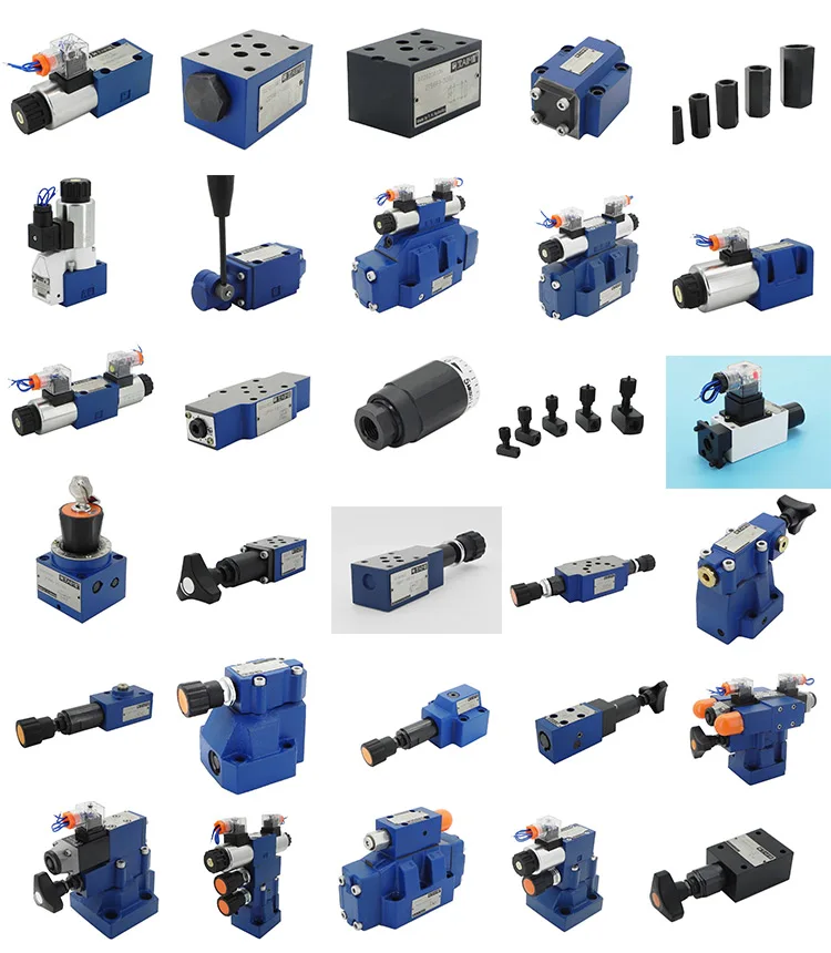 Запчасти для бетононасоса Schwing A4FO22/32L-NSC12K01 (10174306)
