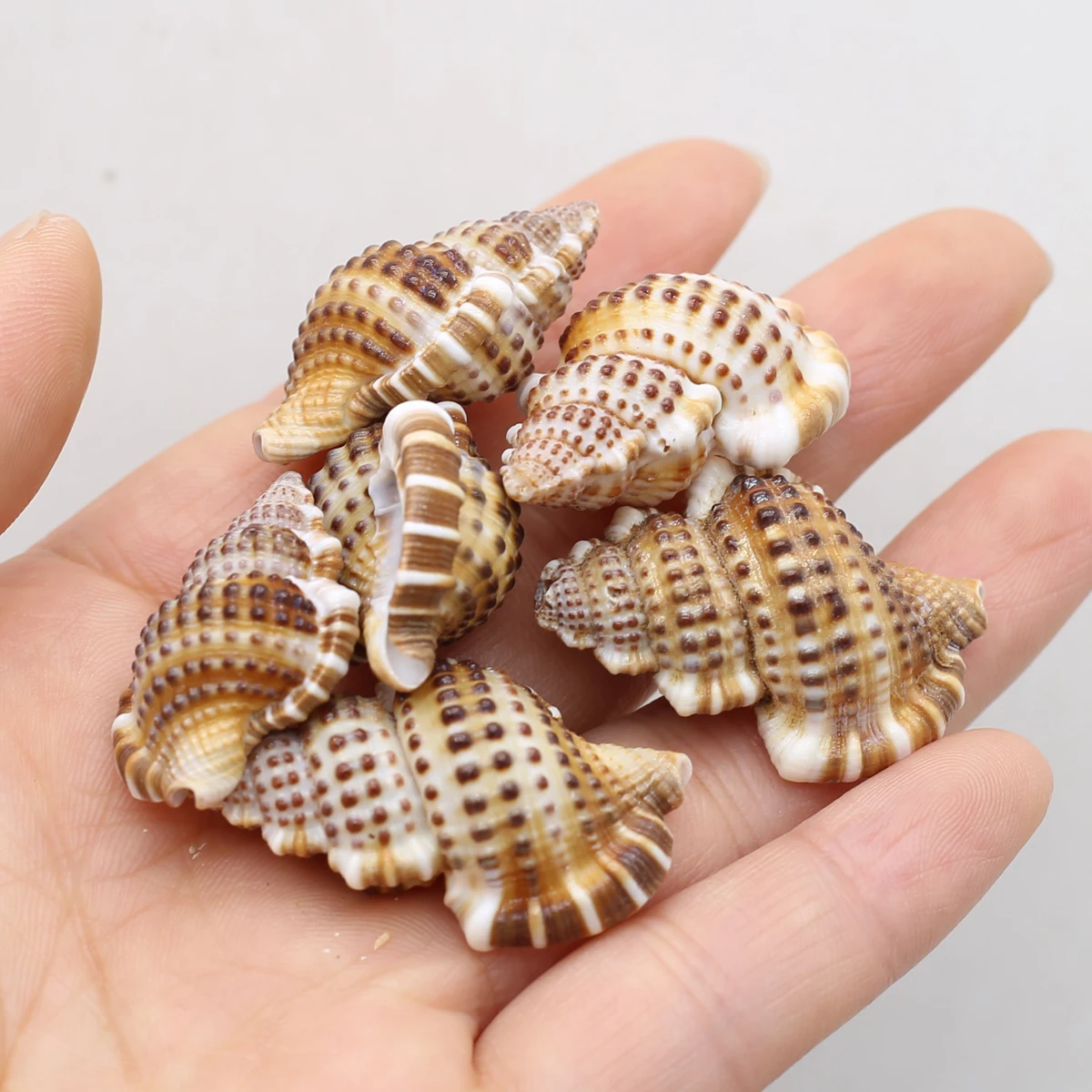 

Wholesale Natural Conch Shell Beads DIY Wind Chimes Handmade Jewelry Aquarium Fish Tank Landscape Accessories About 20Pcs