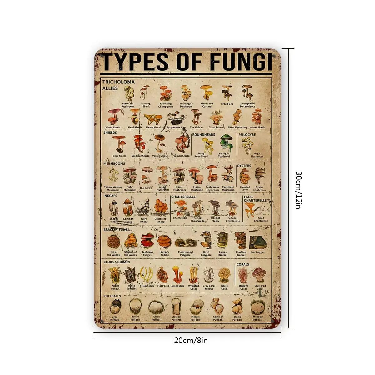 Dectinsign металлические жестяные знаки декор для стен в виде грибов знания о грибах