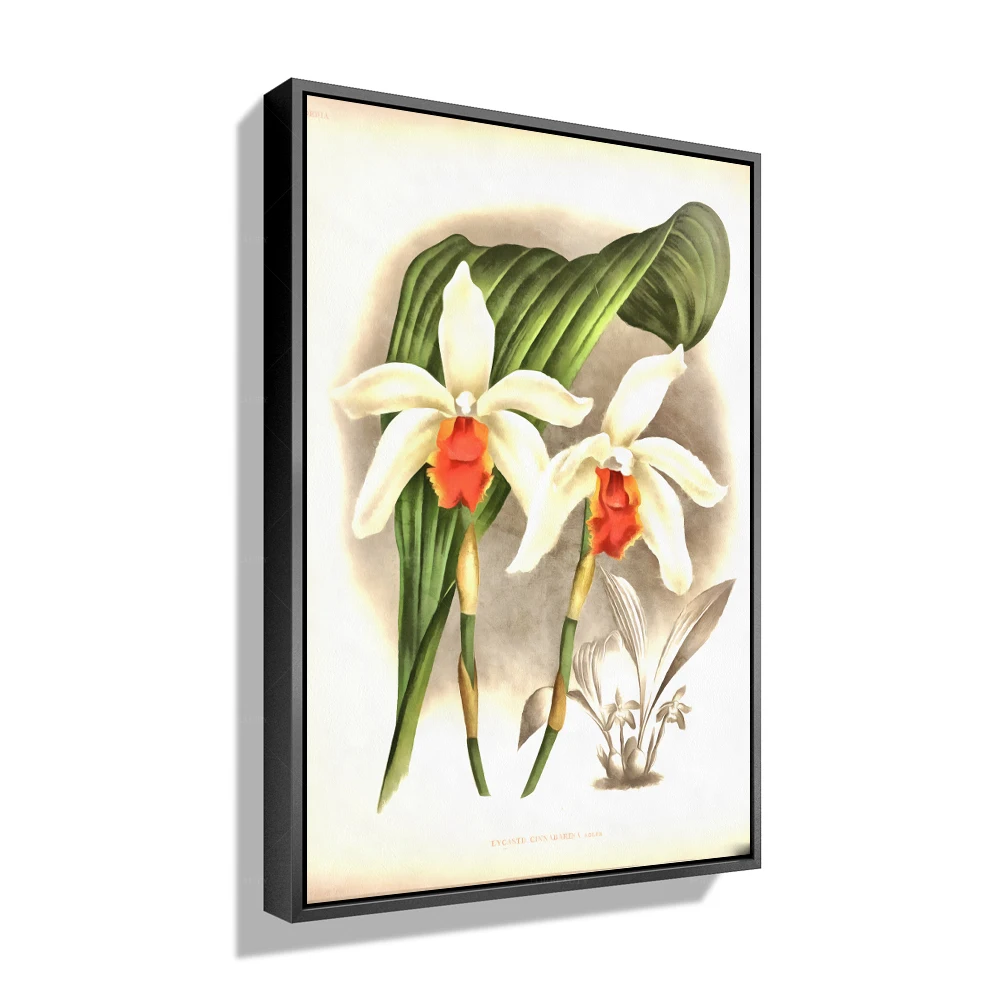 

Масляная живопись Forbeauty с цветами, добавьте классическую и неподвластную красоту вашему домашнему декору