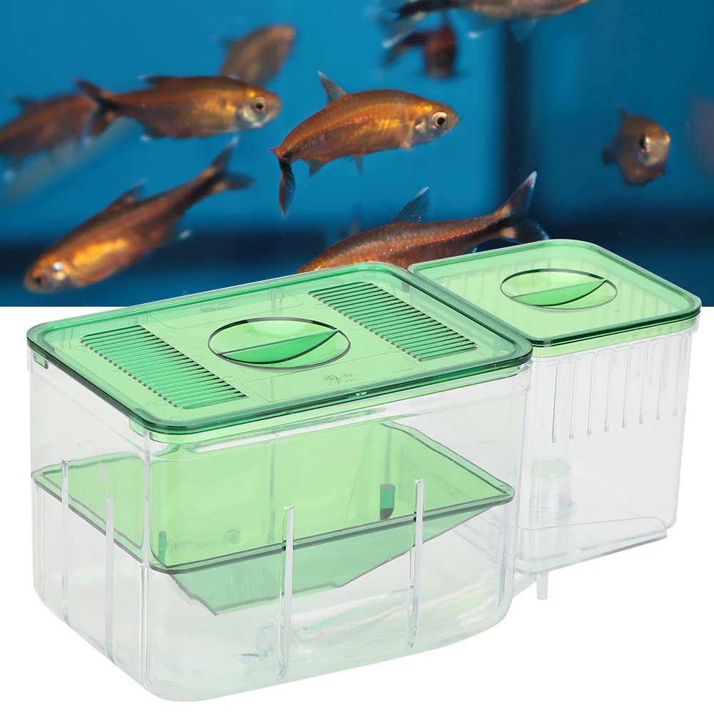 

Aquarium Fish Tanks Breeding Box Little Fish Double Layer Isolation Incubator for Injured Small Fish Shrimp House Home Hatchery