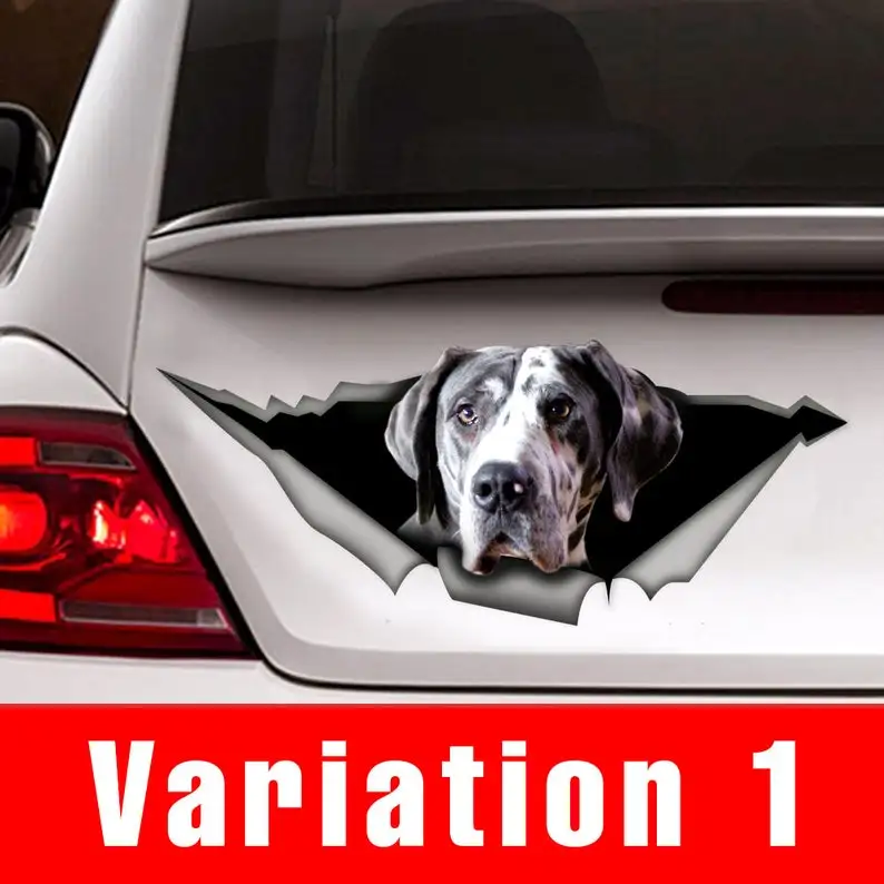 

Great dane car decal , pet decal, Vinyl decal, great dane sticker, funny decal, dog sticker