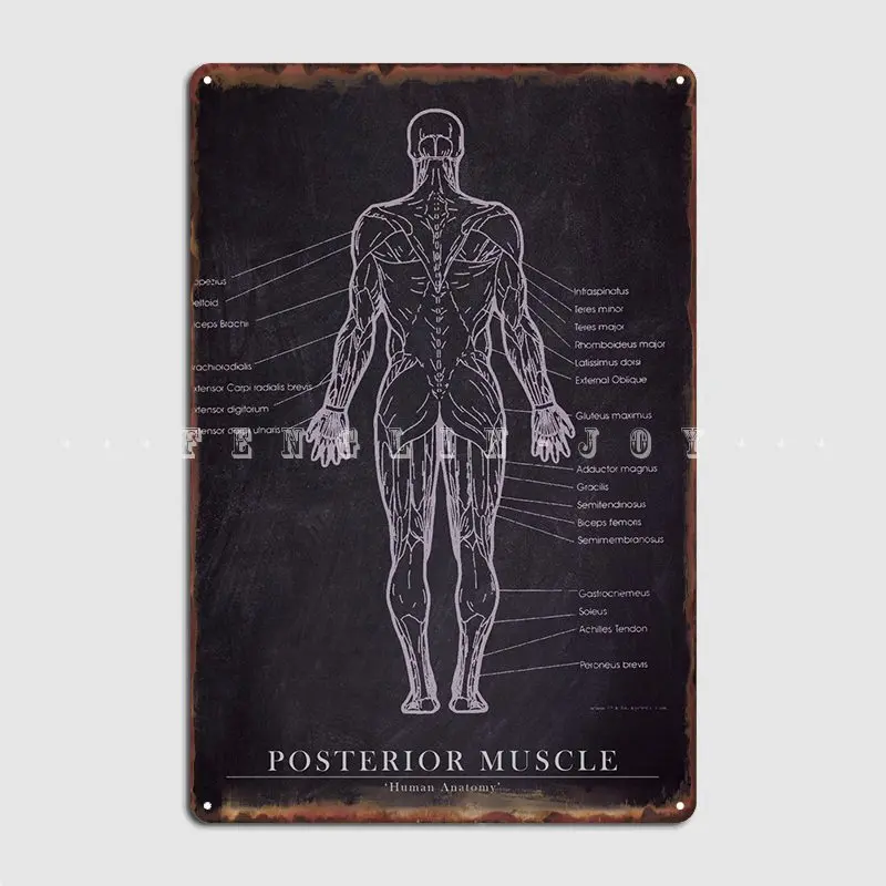 

Задние металлические таблички для мышц, персонализированные Клубные домашние кухонные жестяные плакаты