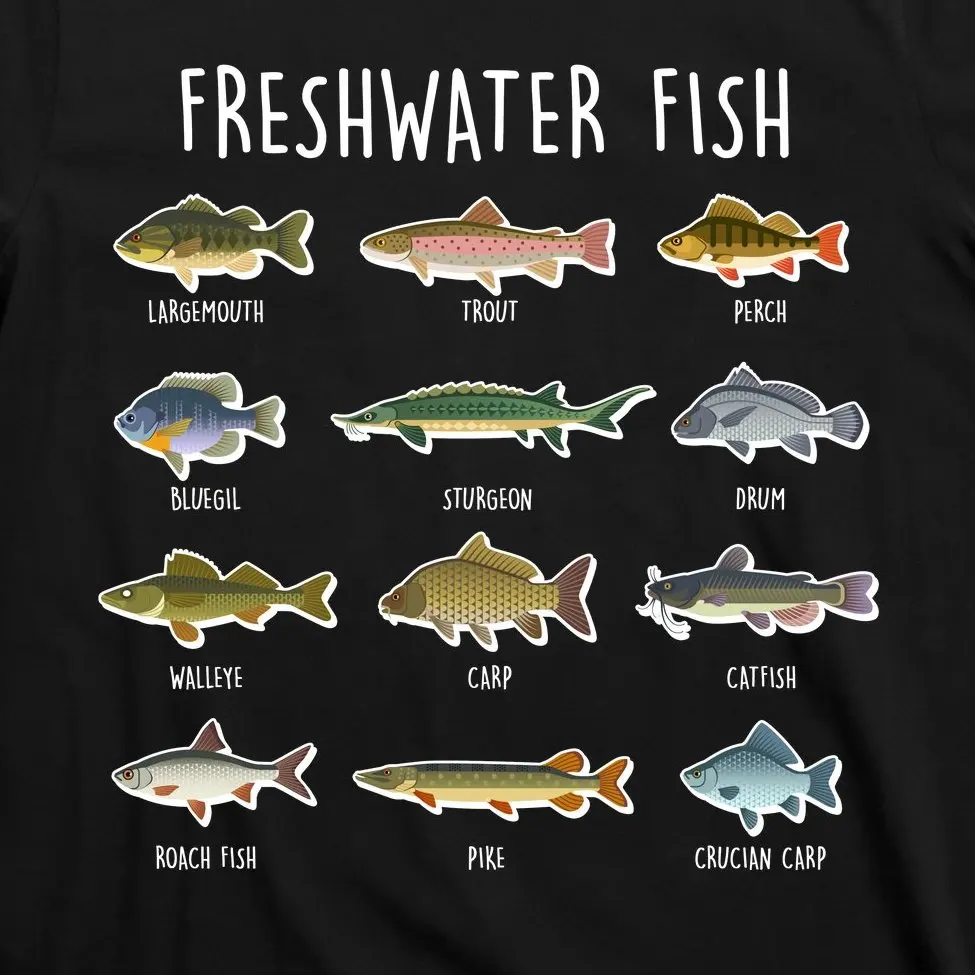 Футболка мужская с круглым вырезом и коротким рукавом из натурального хлопка